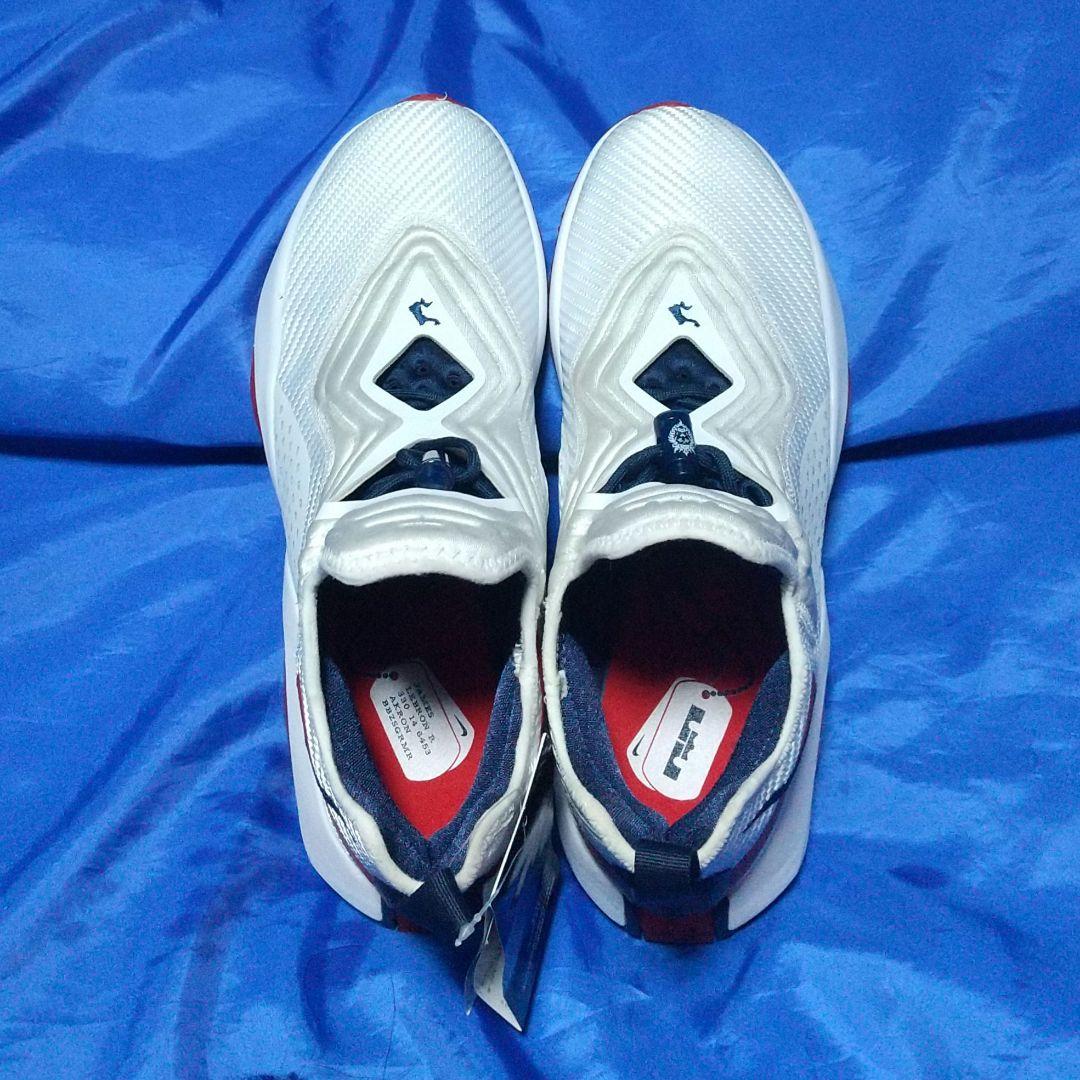 【新品未使用】NIKE レブロン　ソルジャー　バスケシューズ