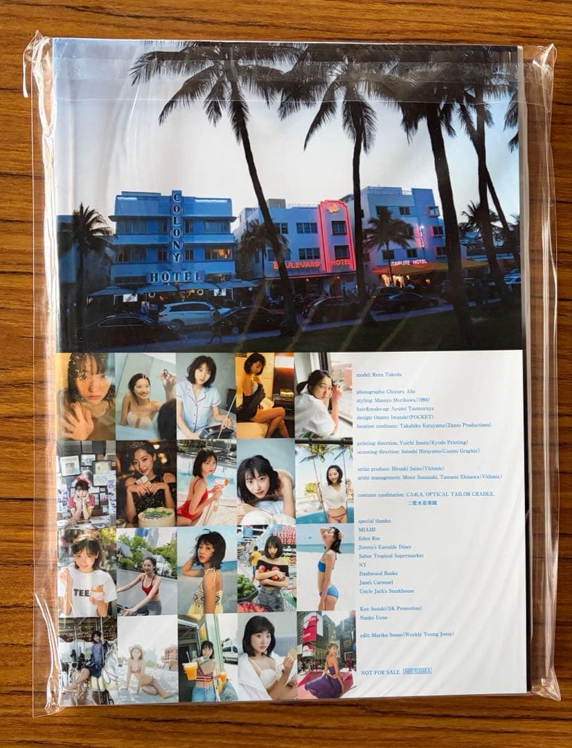 武田玲奈 書籍・冊子セット(おまけ付)