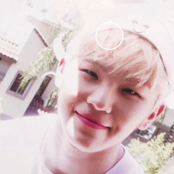 SEVENTEEN 未公開写真 サノク トレカ ウジ フォトカ Al1 セブチ