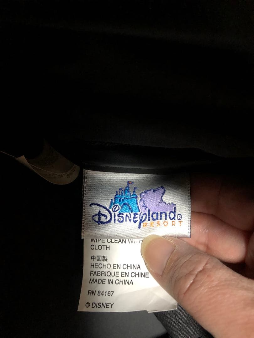 アメリカのディズニーランドで購入 当時50周年目のレアバッグ
