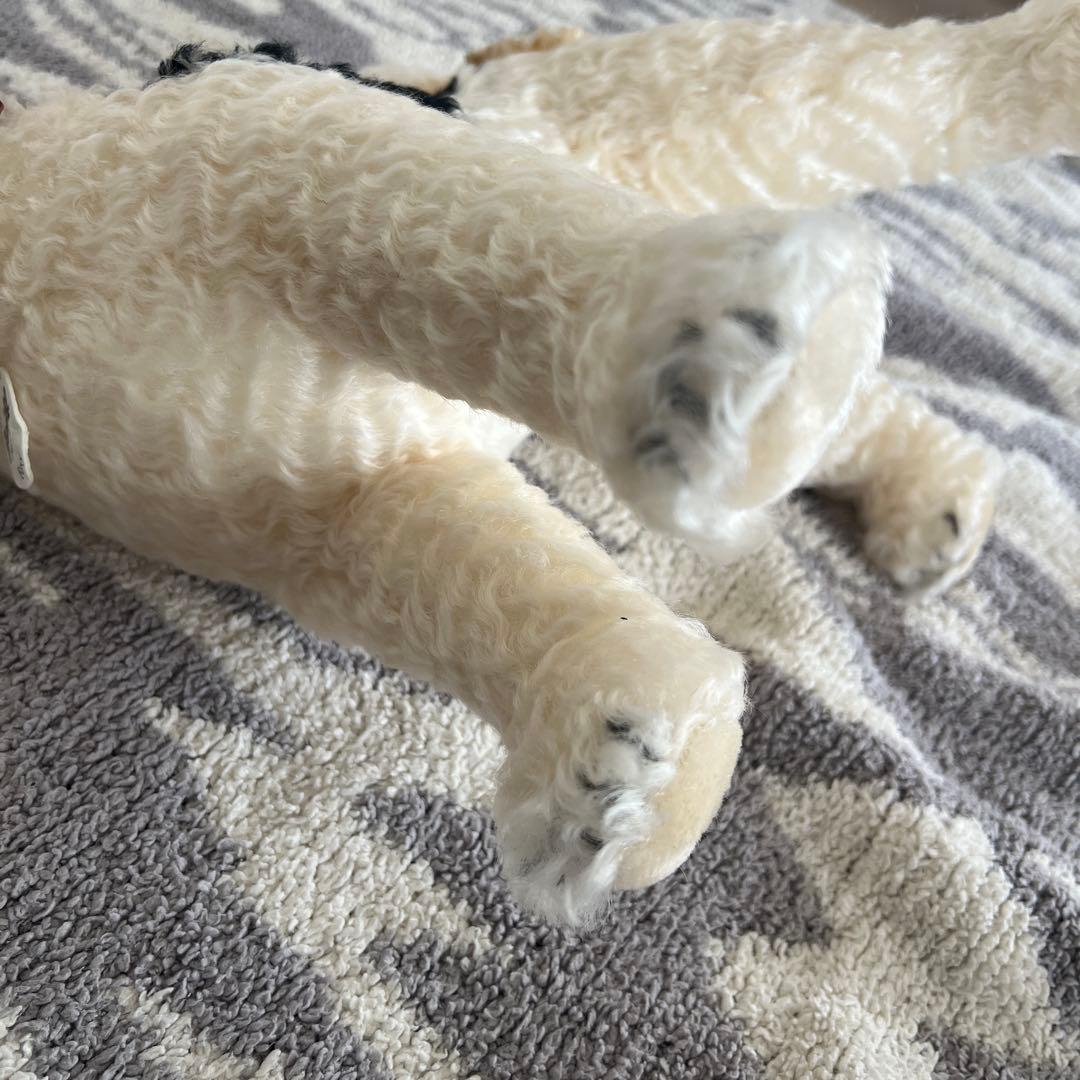 シュタイフ(Steiff) フォックステリア フォクシー