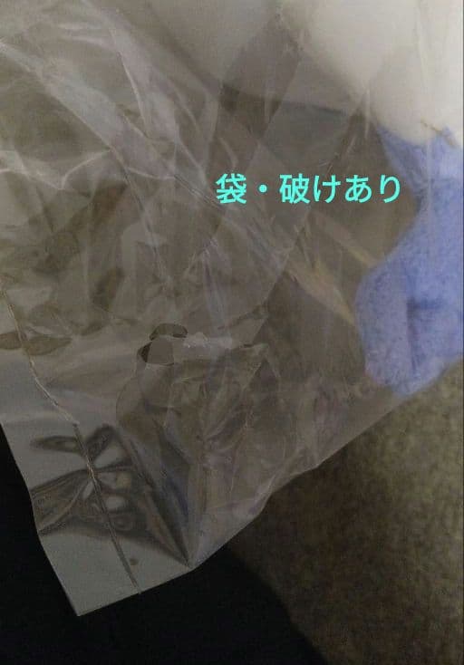 デジモンアドベンチャーtri. テイルモン 等身大ぬいぐるみ 内袋未開封品