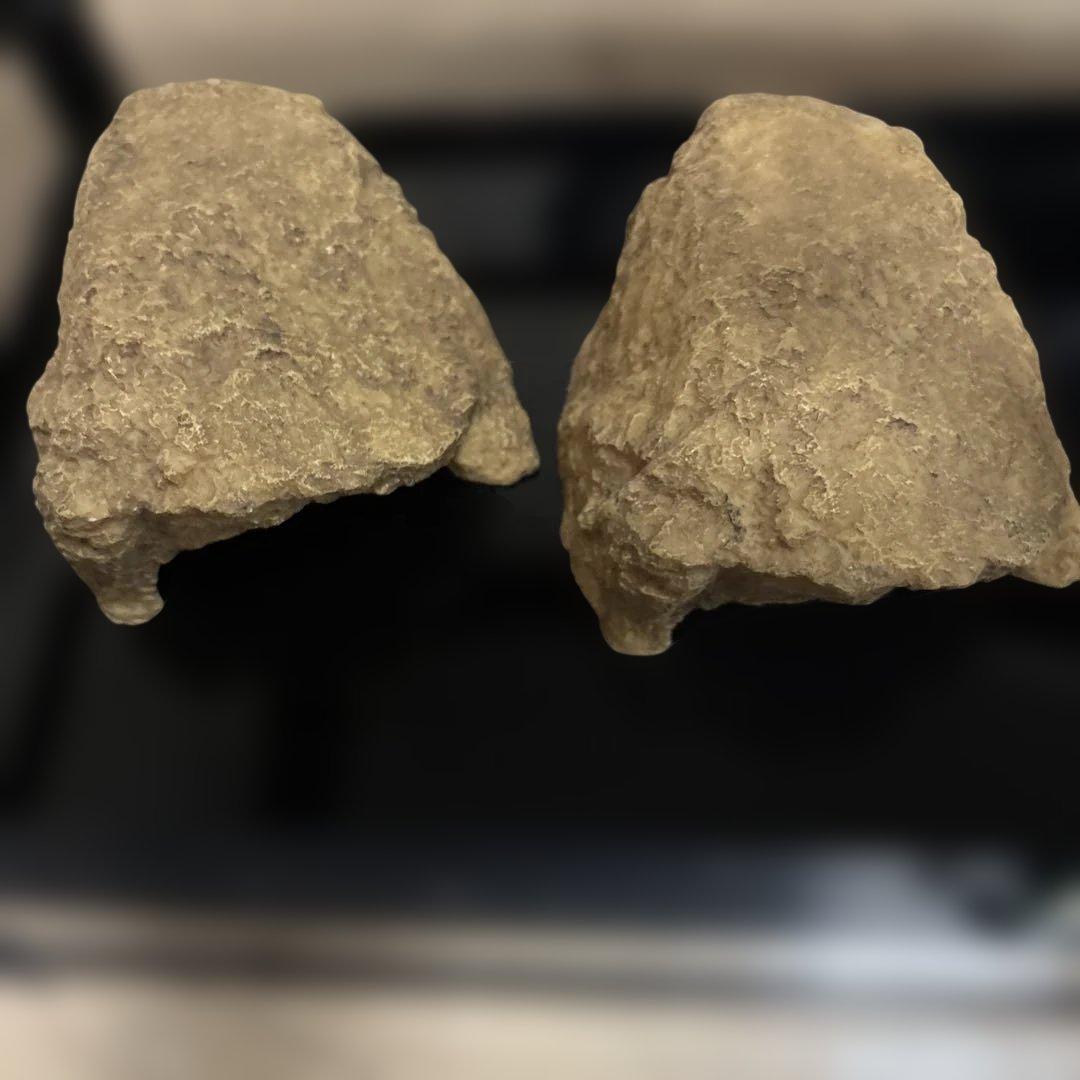 REPTI ZOO パンテオン6035