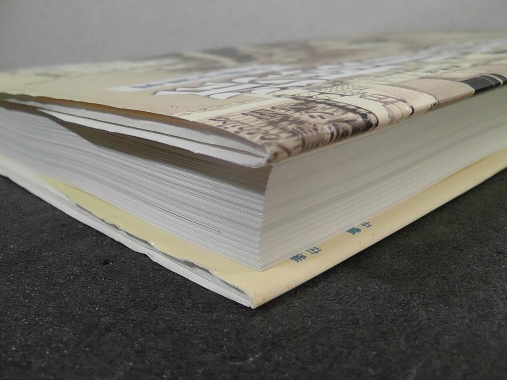 写真が語る 浜松市の110年 浜松市制110周年記念 ★2021年 いき出版