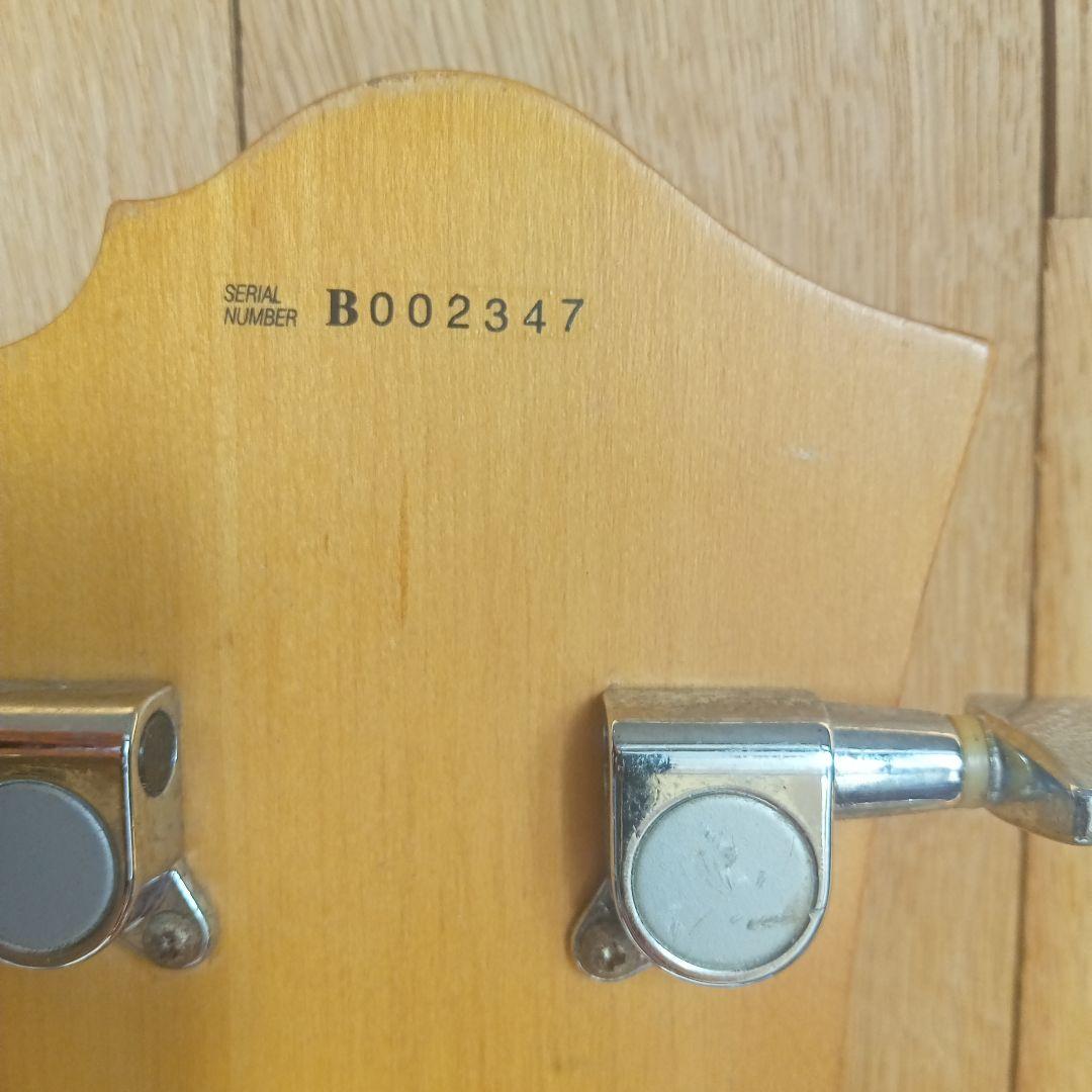 BCrich イーグル580ギター パープル