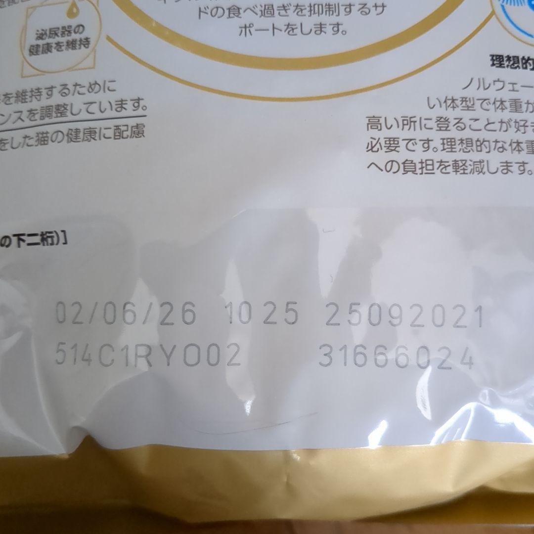  CANIN ノルウェージャンフォレストキャット2kg✕２袋セット