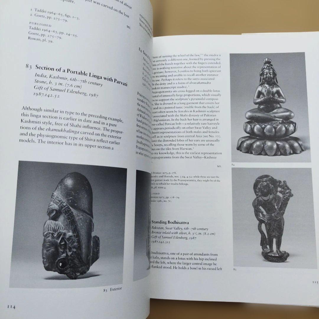 The Lotus Transcendent　1991年 245P HC