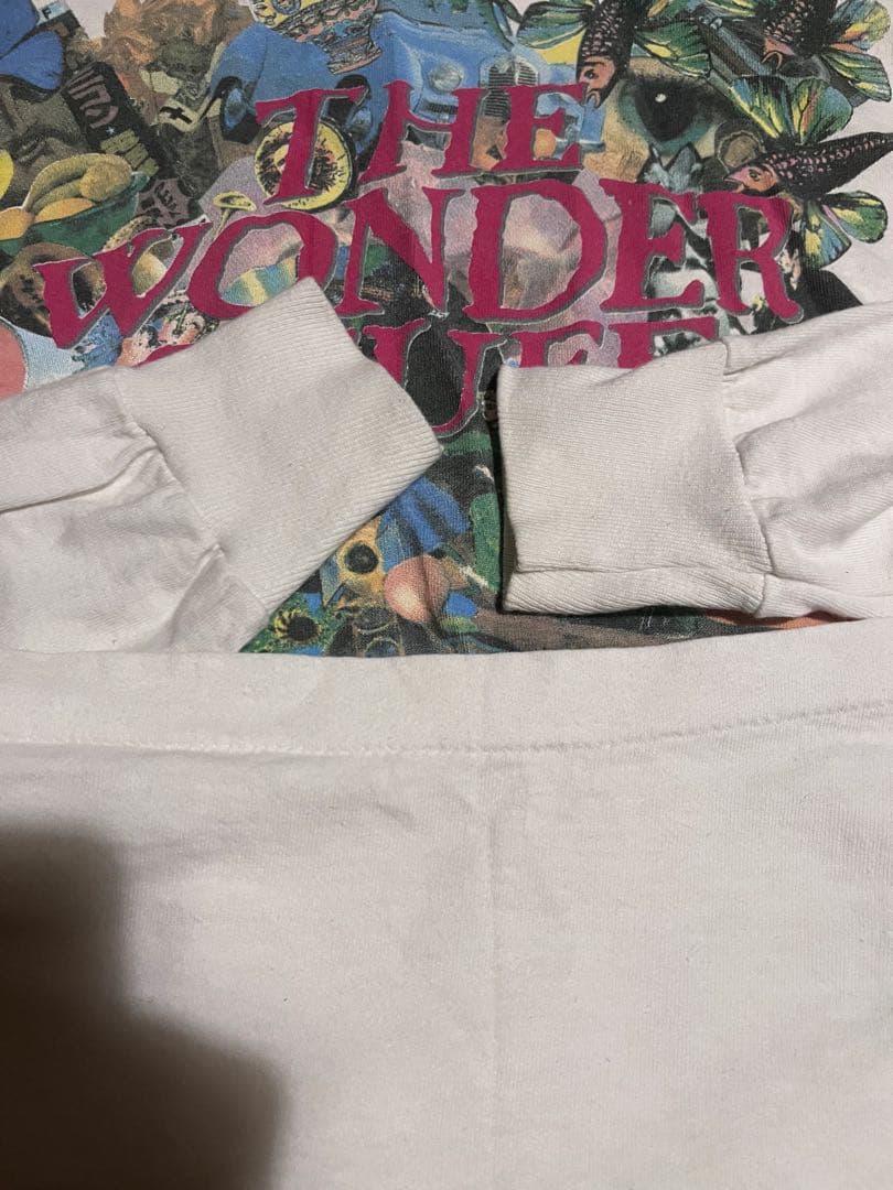 90s ワンダースタッフ Tシャツ バンド バンT アメリカツアー