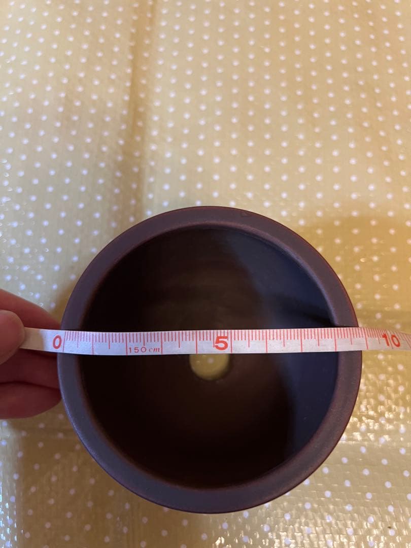 盆栽鉢　美芸　雷紋柄