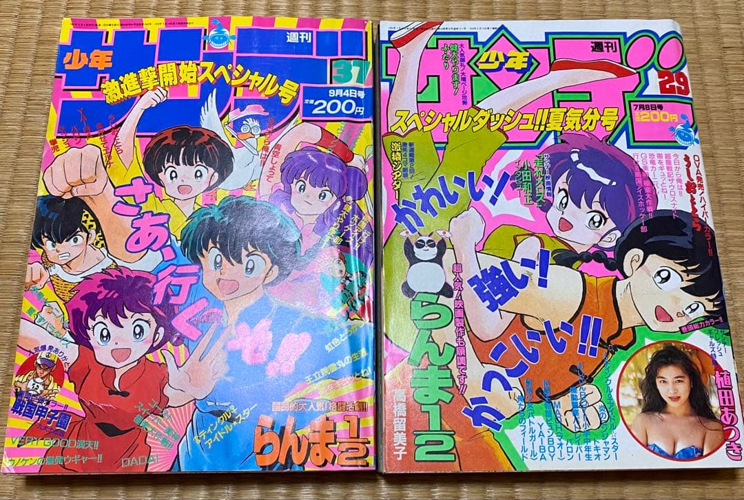 週刊少年サンデー らんま1/2 13冊 らんま表紙号まとめ 高橋留美子