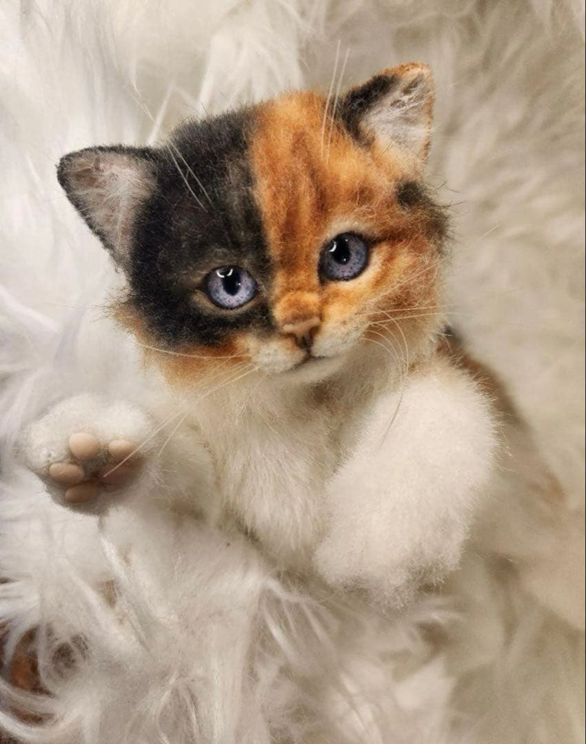 海外作家 猫 三毛猫 子猫ぬいぐるみ アートドール リアル 羊毛フェルト (左)