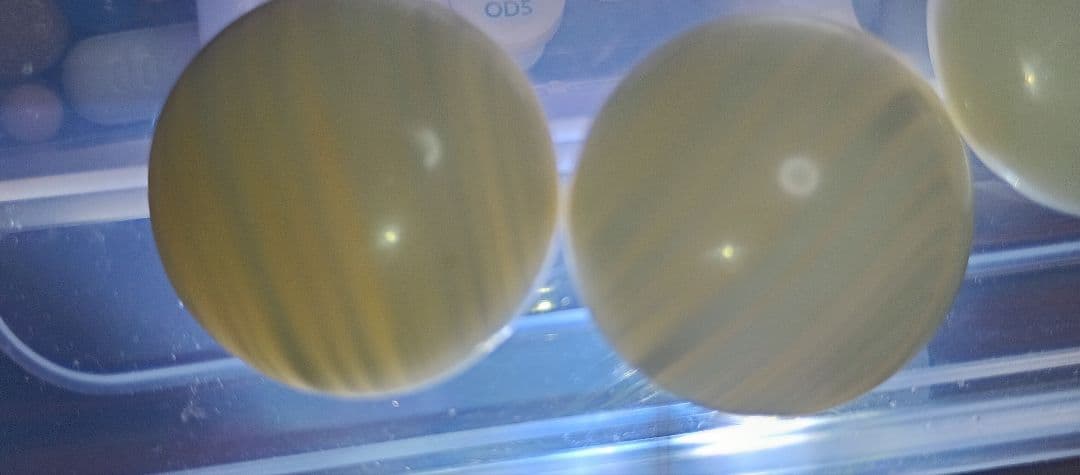 囲碁石セット （ 蛤& 那智黒）