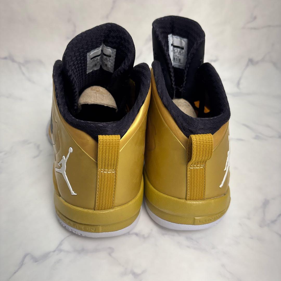 【新品未使用】JORDAN FLY WADE 2 EV 28.5