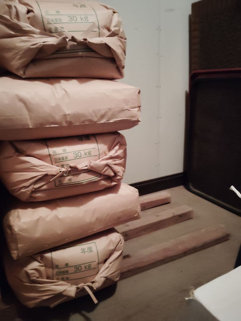 信州産コシヒカリ10㎏(精米済・令和6年収獲) タケノコご飯用筍3本付き