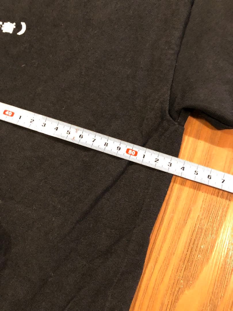 さんピンcamp tシャツ　Lサイズ