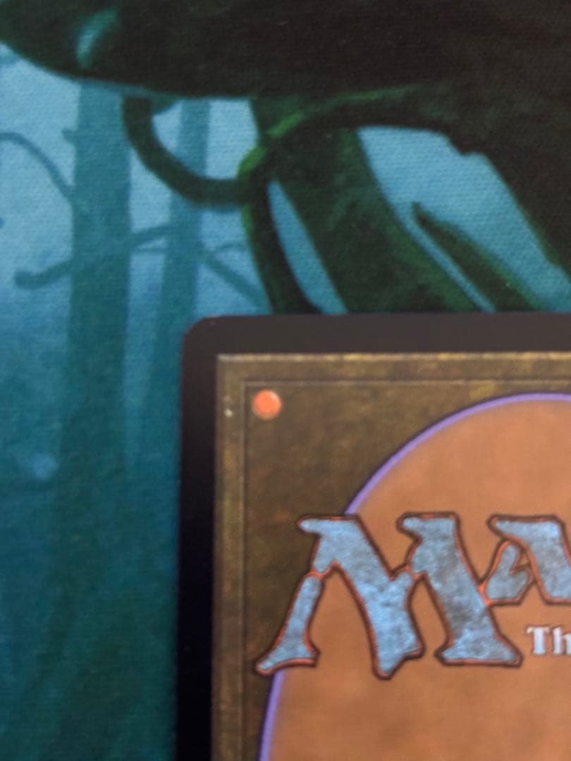 溢れかえる岸辺　ジャッジFOIL ④