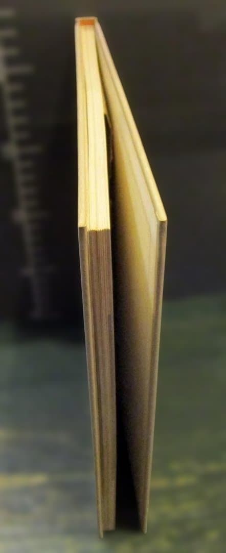 猫の麦わら帽子 THE STRAW CAT　深瀬昌久