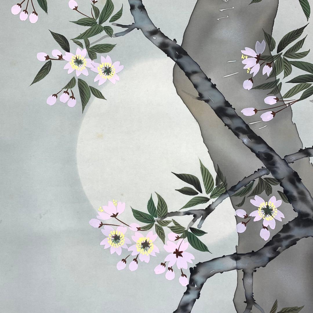 掛軸 秋峰 夜桜 共箱 春 月 満月 花 桜 5-14