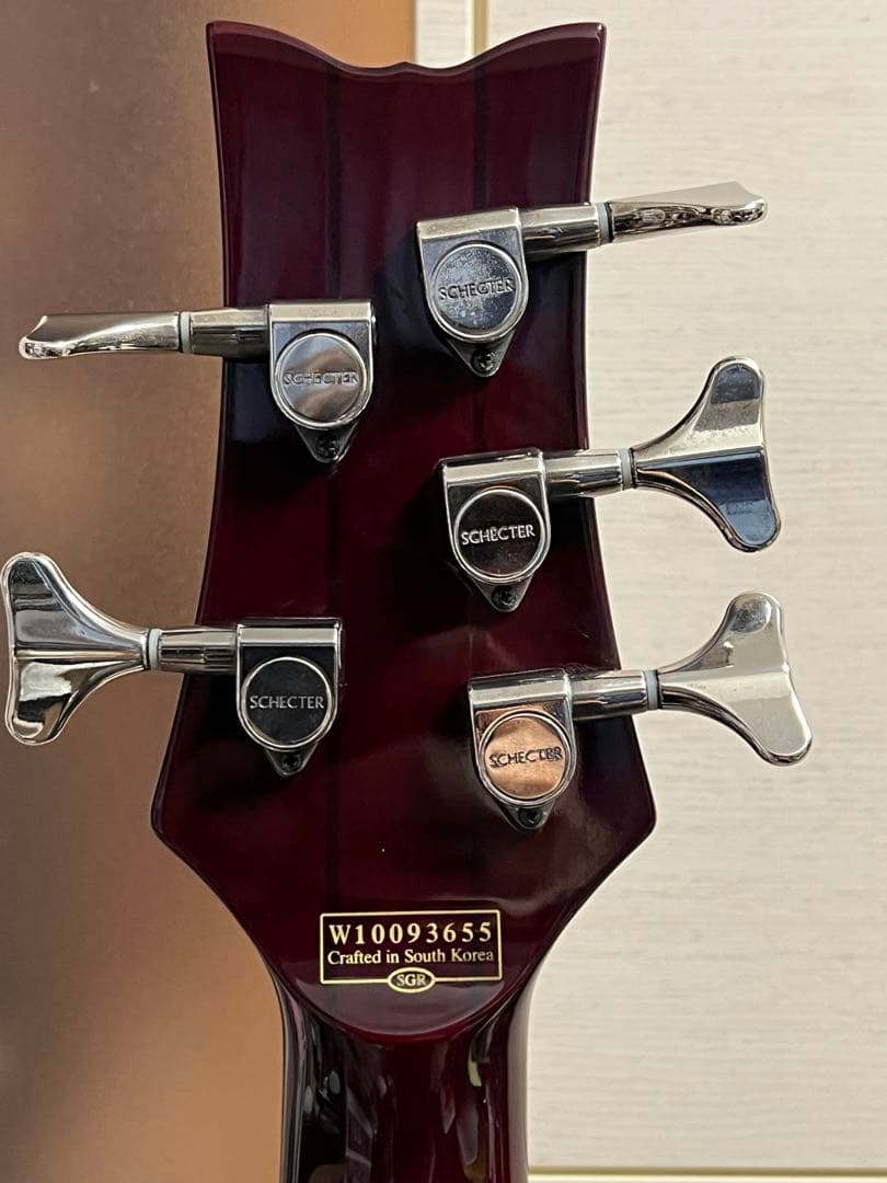 即発送 SCHECTER HELLRAISER-5 5弦ベース 調整済み