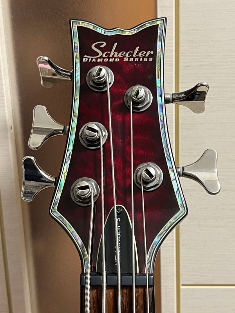 即発送 SCHECTER HELLRAISER-5 5弦ベース 調整済み