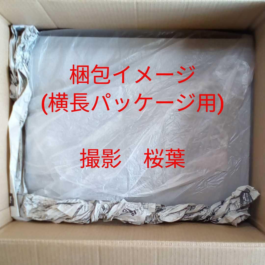 ガンプラ mg プロヴィデンスガンダム スペシャルコーティング 未組立