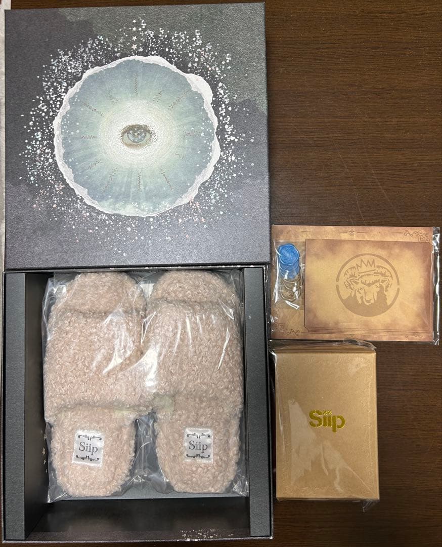 Siip / ガイア【完全生産限定盤】