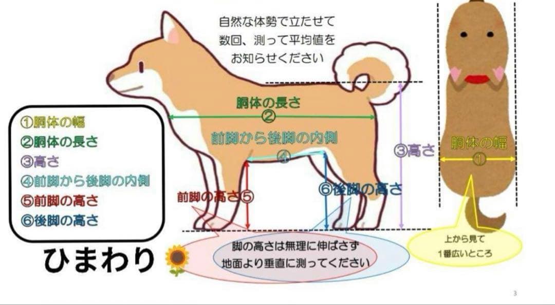 【中古】　わんちゃん用車椅子サイズ掲載しております