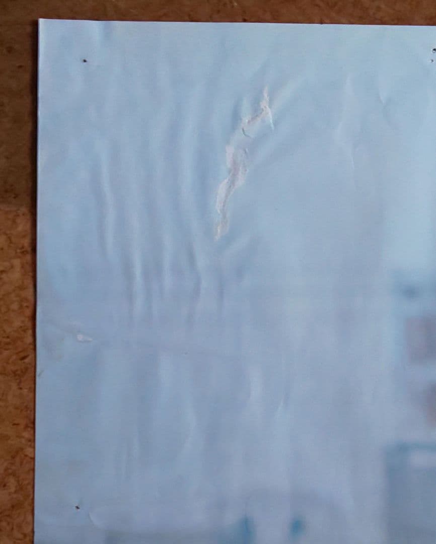 映画『復讐するは我にあり』劇場公開版オリジナルポスター(非売品)