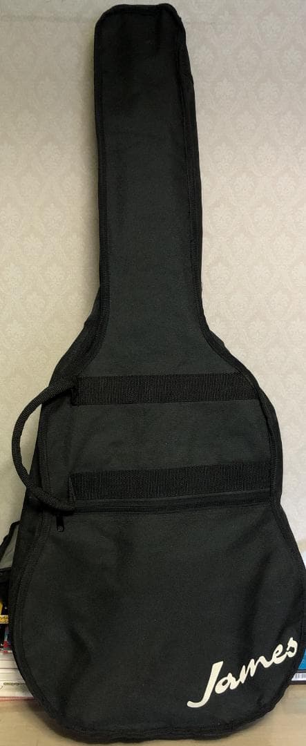 Tony Smith セミアコ 傷あり ソフトケース付属 動作未確認