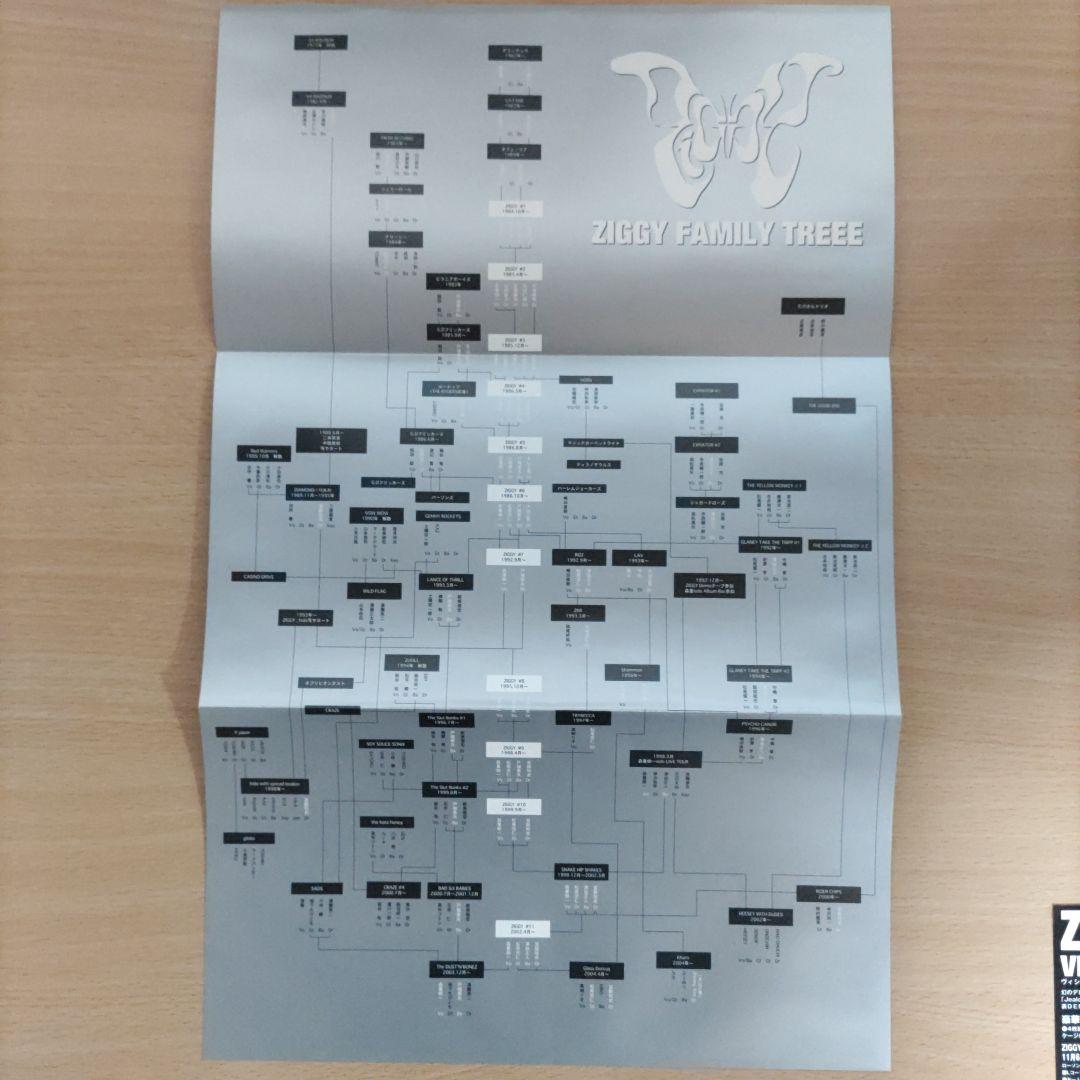 ZIGGY　ジギー　ヴィシセチュード・オヴ・フォーチュン