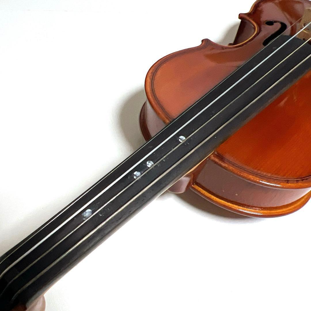 【美品】Andreas Eastman VL80 1/10 イーストマン