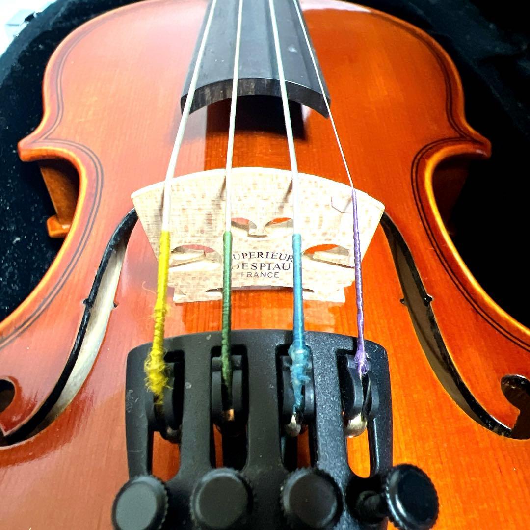 【美品】Andreas Eastman VL80 1/10 イーストマン