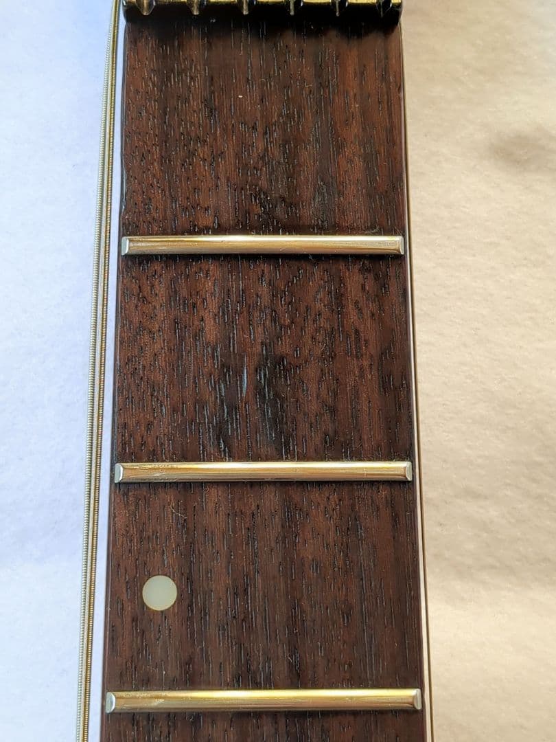 Washburn MG722 Stevie Salas Model 送料無料