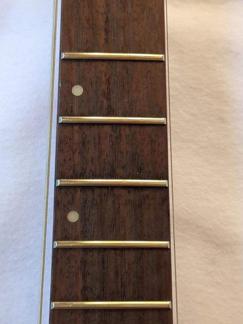 Washburn MG722 Stevie Salas Model 送料無料