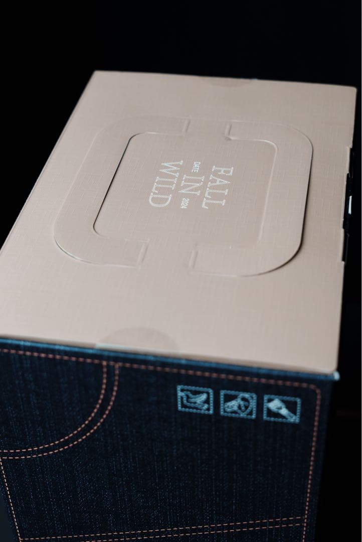 POP MART Labubu Fall In Wild 正規品レシート付