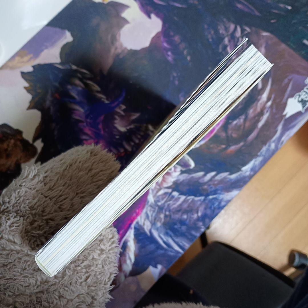 ポケモンカードゲーム アートコレクション 本のみ 美品 カードなし