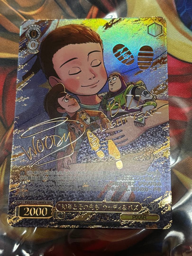 ヴァイス　トイストーリー 30年とその先もウッディ＆バズ SEC サイン