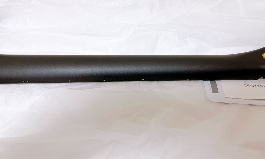 Enya Inspire スマートギター【フットスイッチ付き】