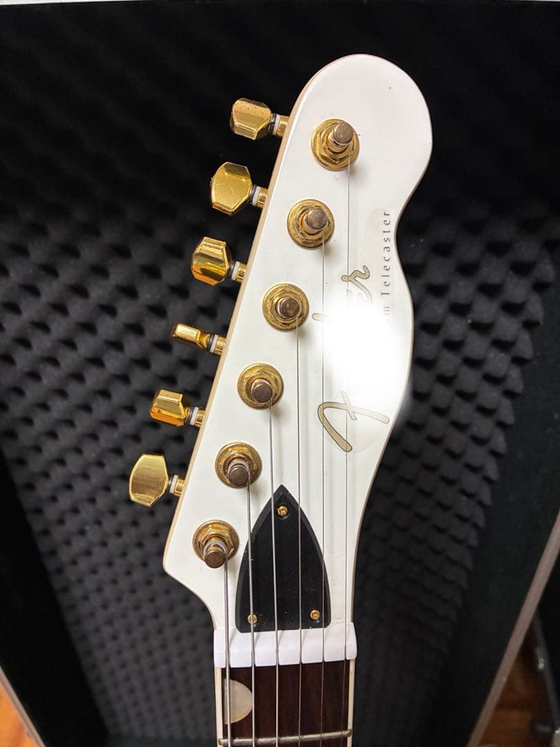 セミホロウボディ テレキャスター型エレキギター