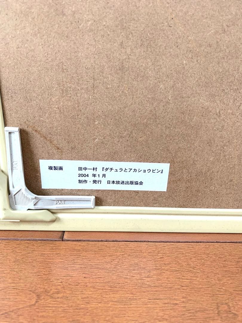 田中一村 ダチュラとアカショウビン 日本放送出版協会