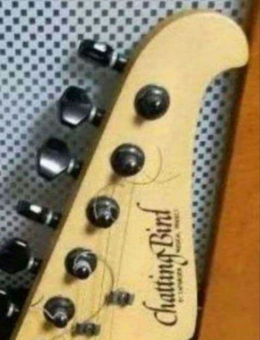エレキギター CHATTING BIRD　by CAPALISON STRAT