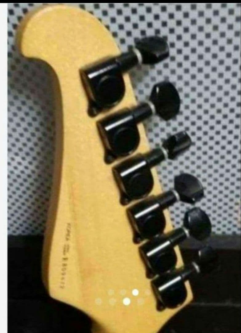 エレキギター CHATTING BIRD　by CAPALISON STRAT