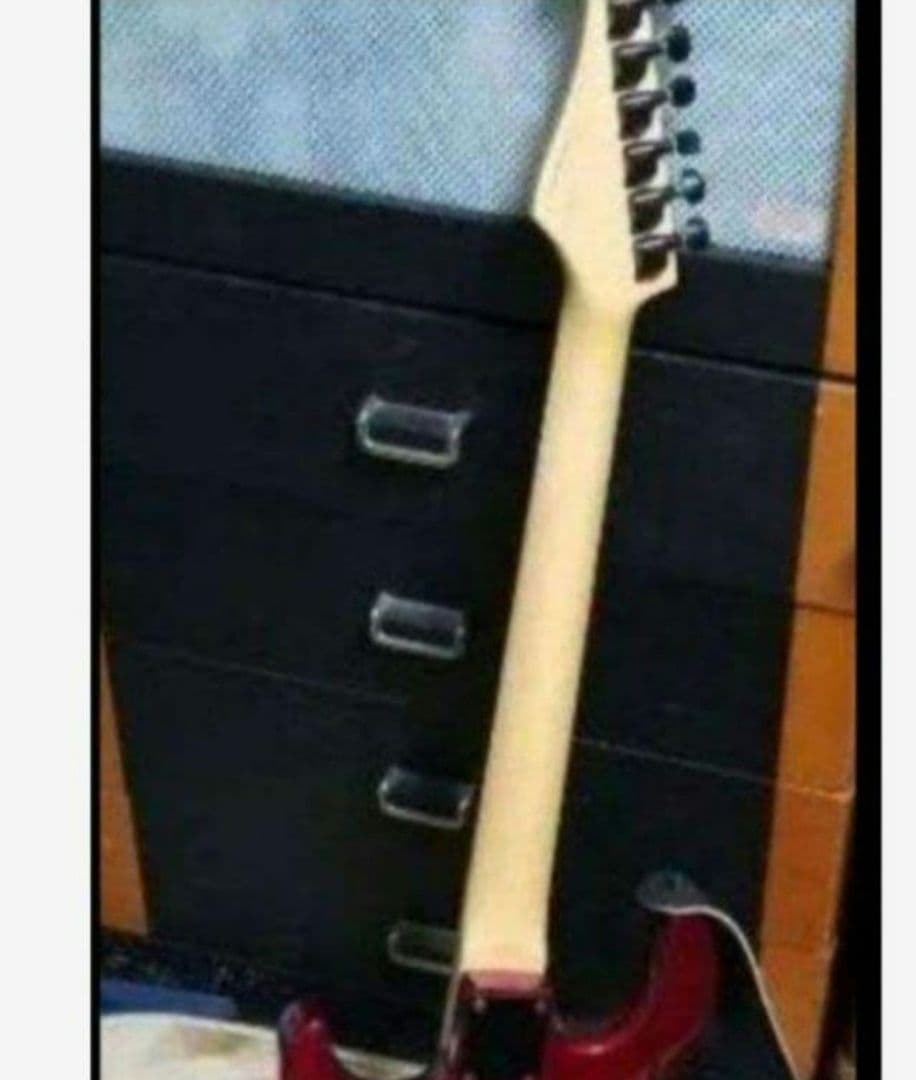 エレキギター CHATTING BIRD　by CAPALISON STRAT