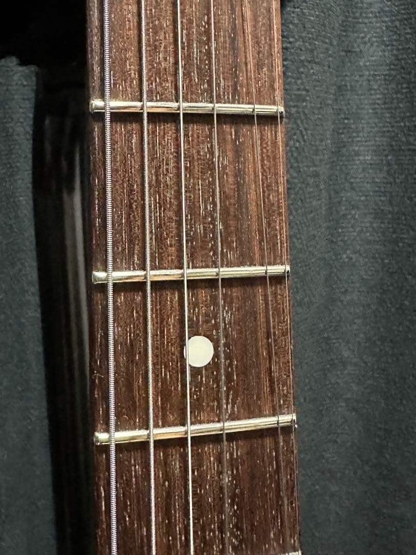 ギター Psychederhythm Hollow T-Line Limited