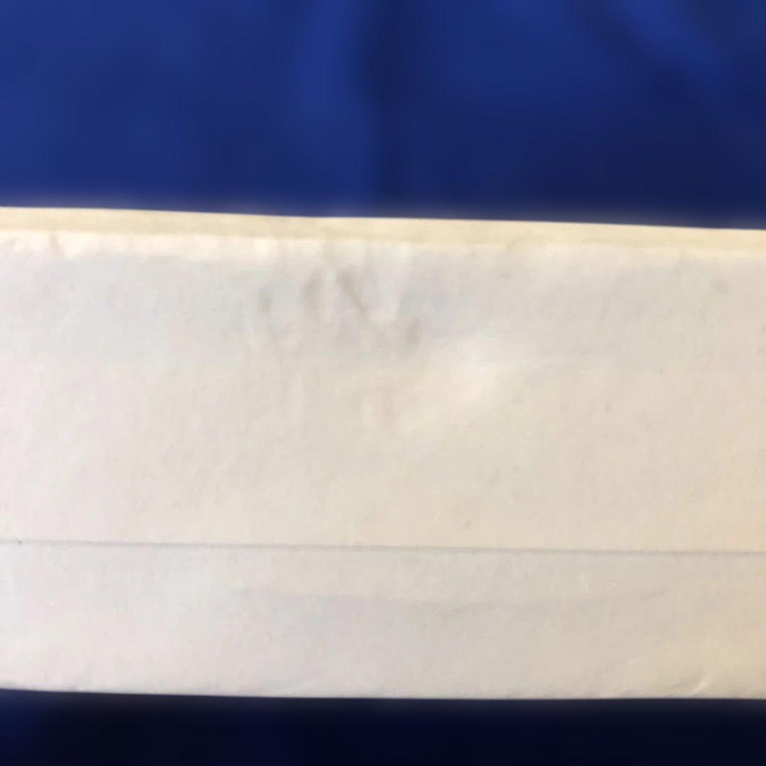 記憶の中の古代 ルネサンス美術にみられる古代の受容　￼