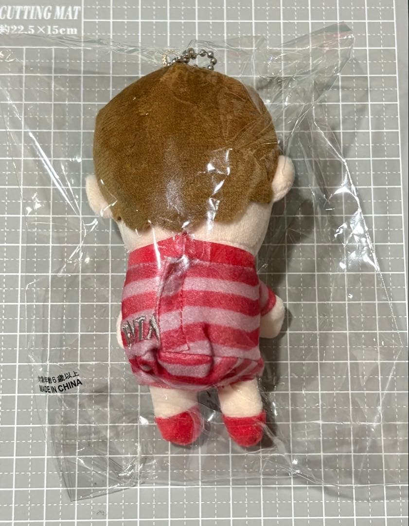 【未開封新品】ふぉ〜ゆ〜 ちびぬい　越岡裕貴　ENTA!8