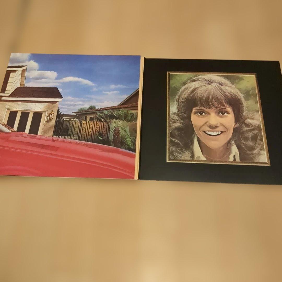 THE VINYL COLLECTION CARPENTERS 5枚未開封