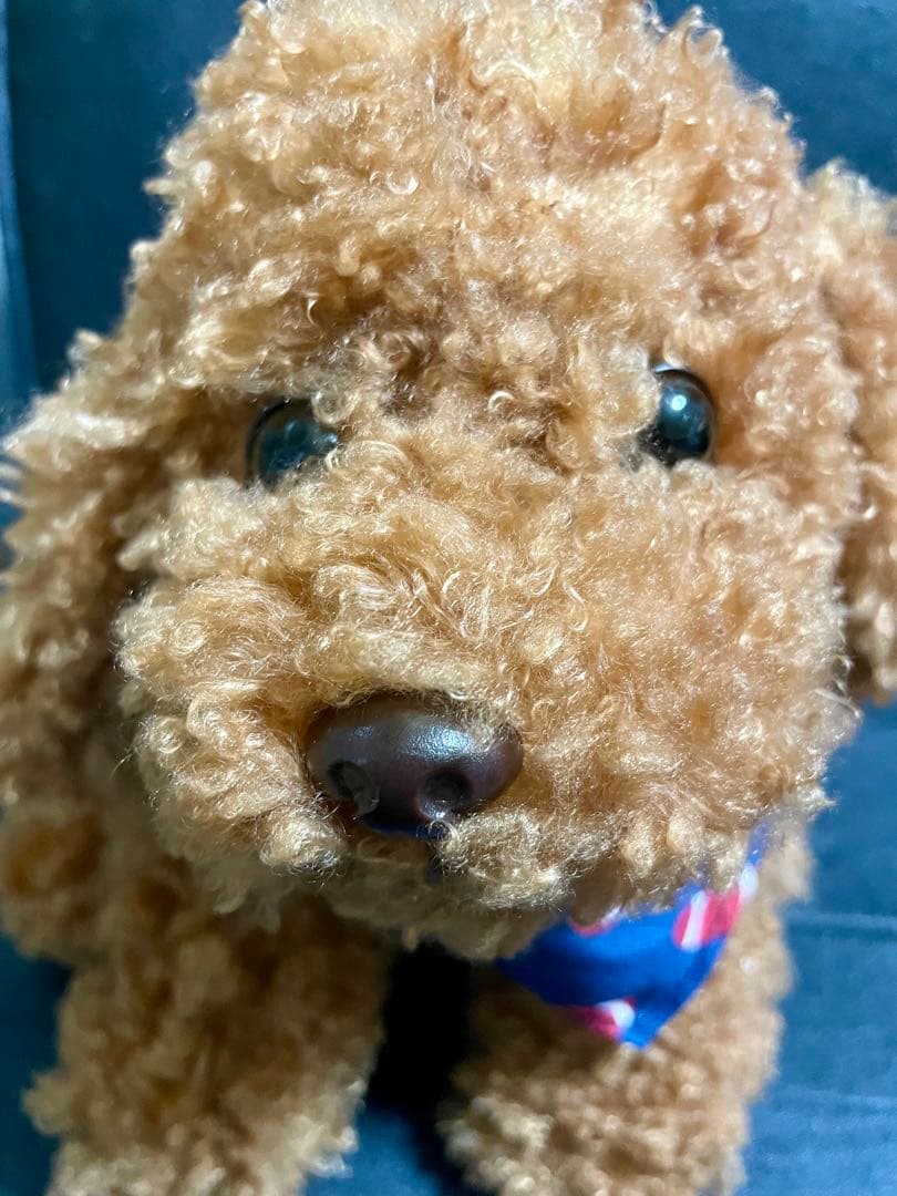 【新品未使用】茶色いトイプードル ぬいぐるみ 可愛いバンダナ付き　超可愛い　犬