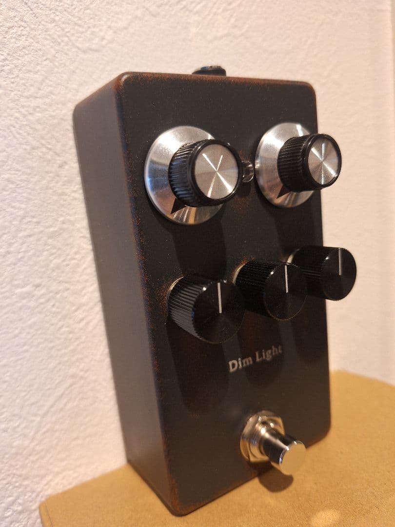 ギター 1995FX/Dim Light