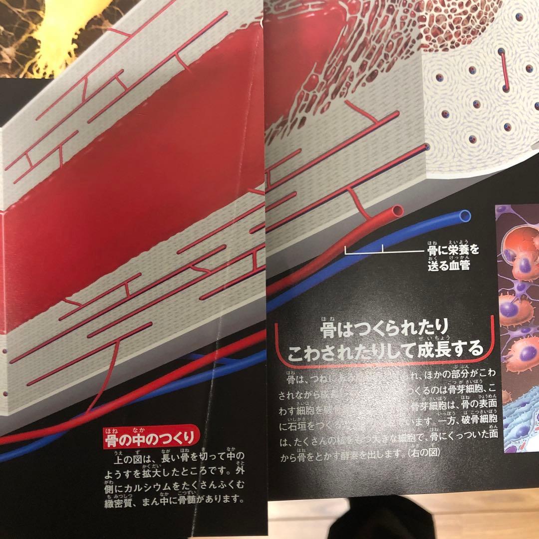 学研の図鑑ライブ LIVE　12冊 まとめ売り　全てDVD付き　ばら売り不可